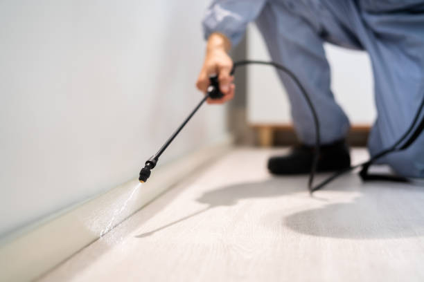 Licensed Pest Control service in Unionville, MO - Show Me Pest Control