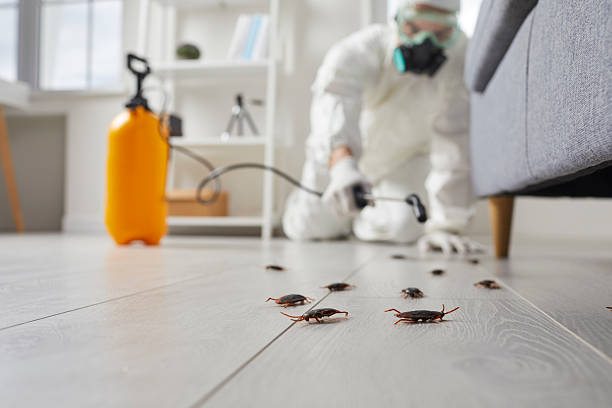 Commercial Kitchen Cockroach Control in Unionville